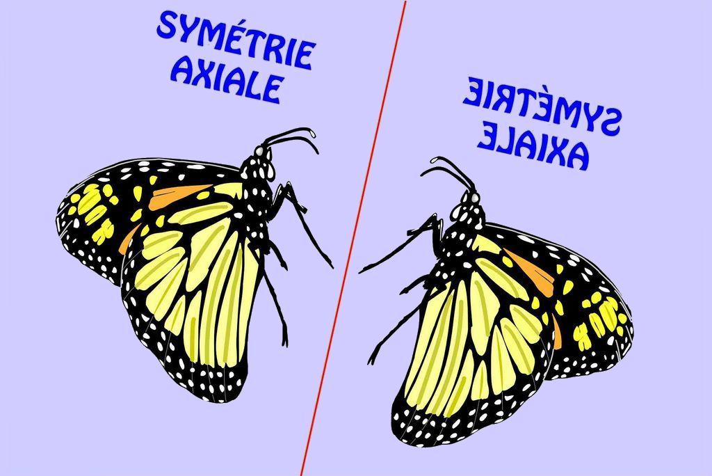 symax0.jpg