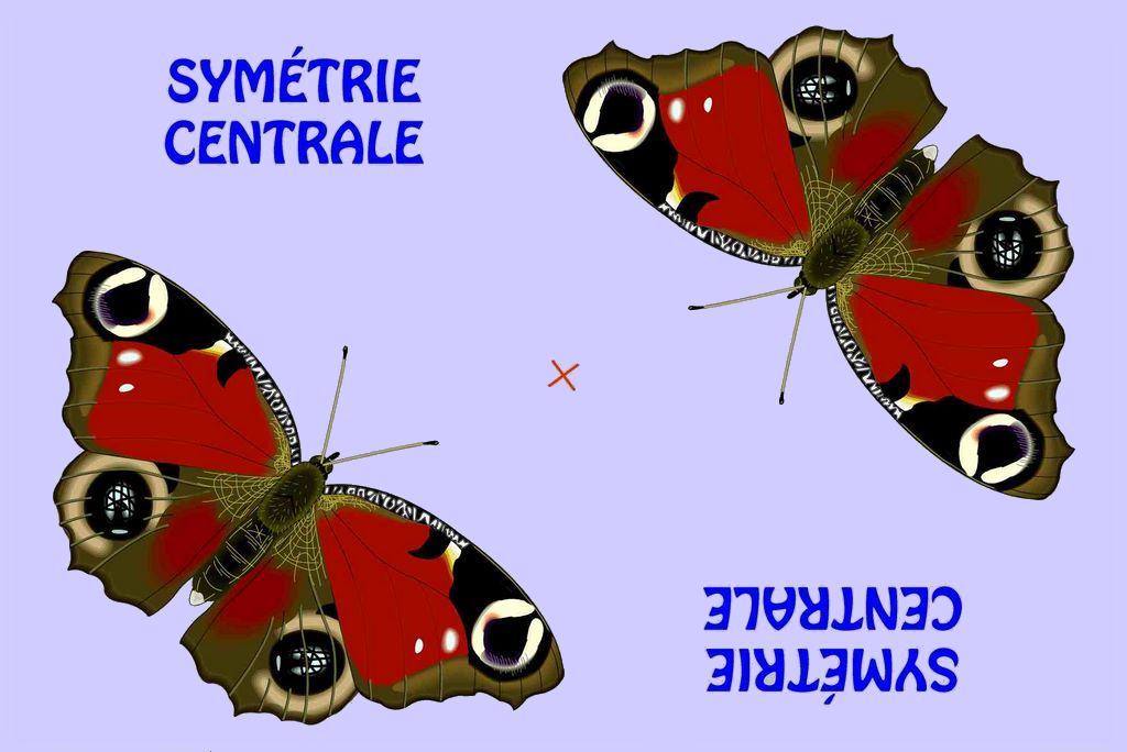 symct0.jpg