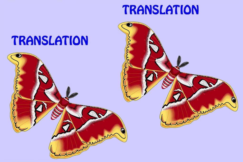 transla0.jpg